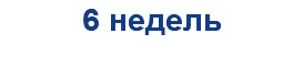 6 недель