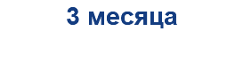 3 месяца