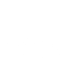  2019