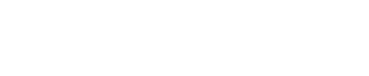  Помет D - Desert Eagle 