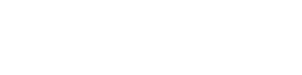  Помет D - Dynamite