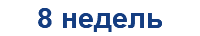 8 недель