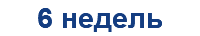 6 недель