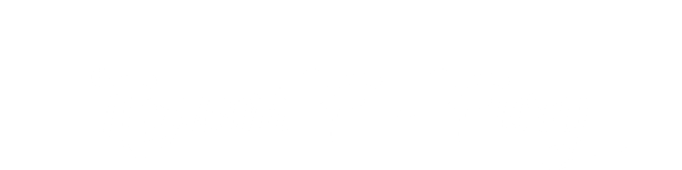  Помет F - Fury