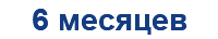 6 месяцев