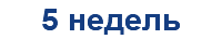 5 недель