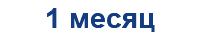 1 месяц