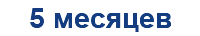 5 месяцев