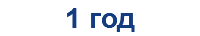 1 год