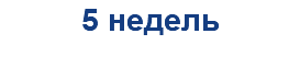 5 недель
