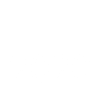  2020