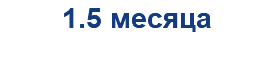 1.5 месяца