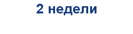 2 недели