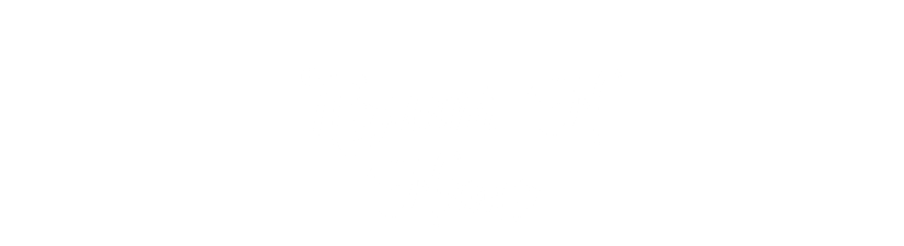  Помет N Nemo