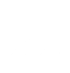  2023