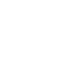  2024